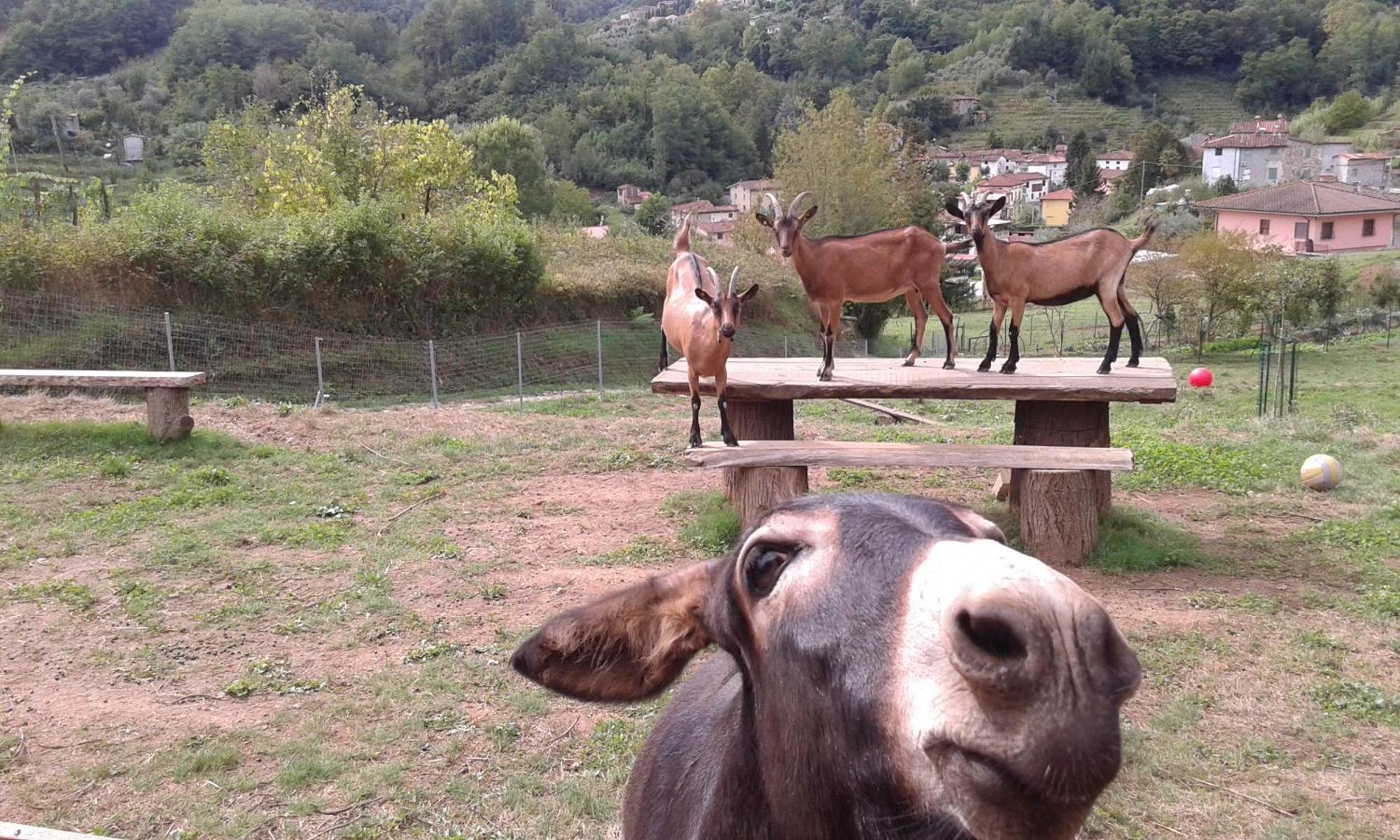 La Finestra Sulla Valle Valdottavo Luaran gambar