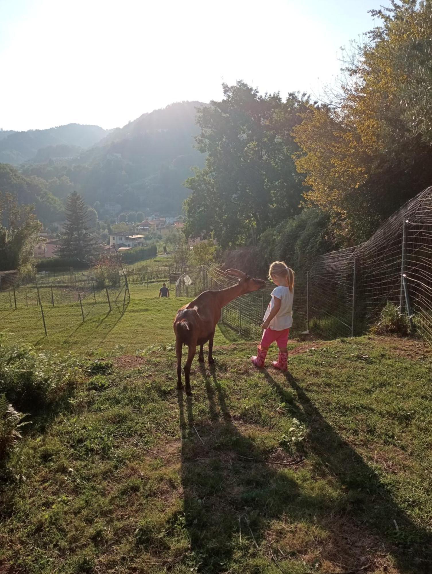 La Finestra Sulla Valle Valdottavo Luaran gambar
